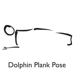 dolphin-plank-pose-guide